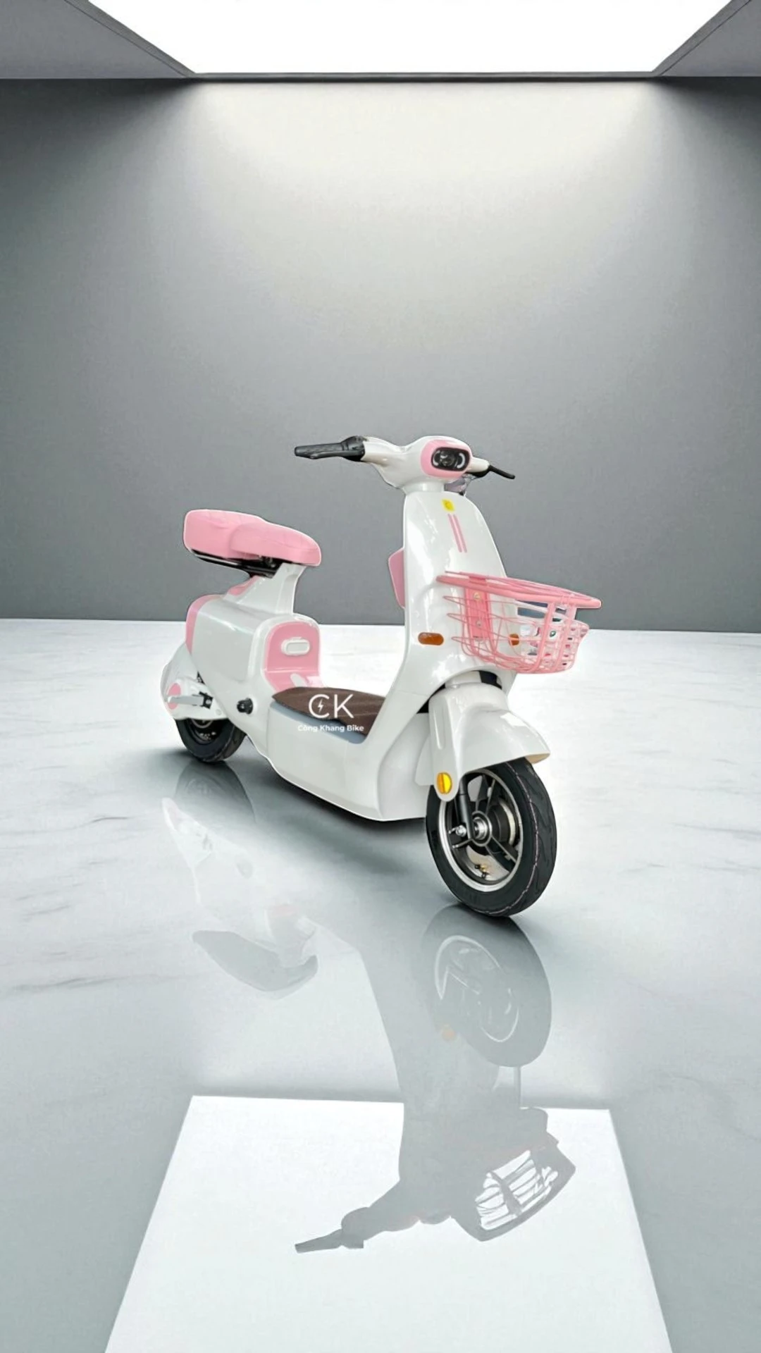 XE ĐIỆN K1 DYLEXE