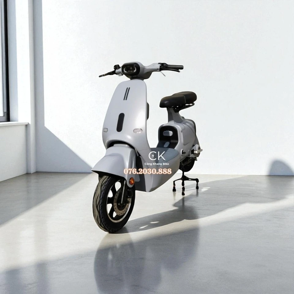 XE ĐIỆN Q1 Zevo